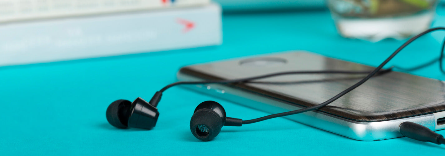 Cheapest wired earphones with mic